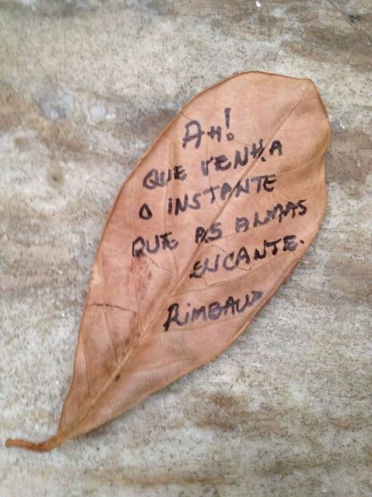 Errância 4