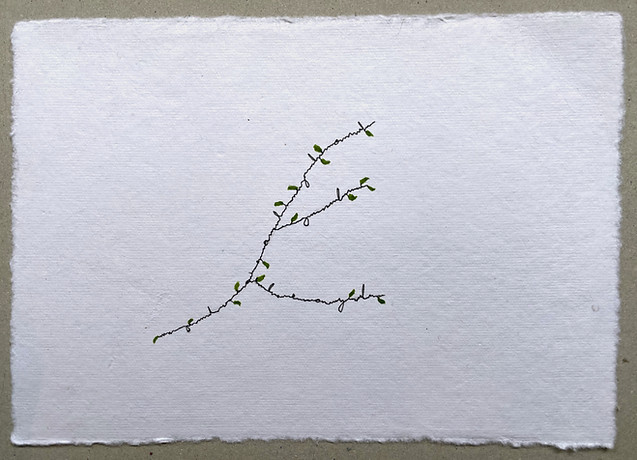 Photosyntaxis 4