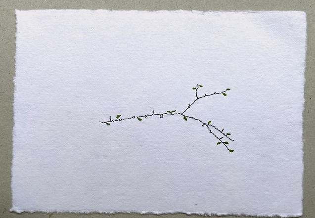 Photosyntaxis 5
