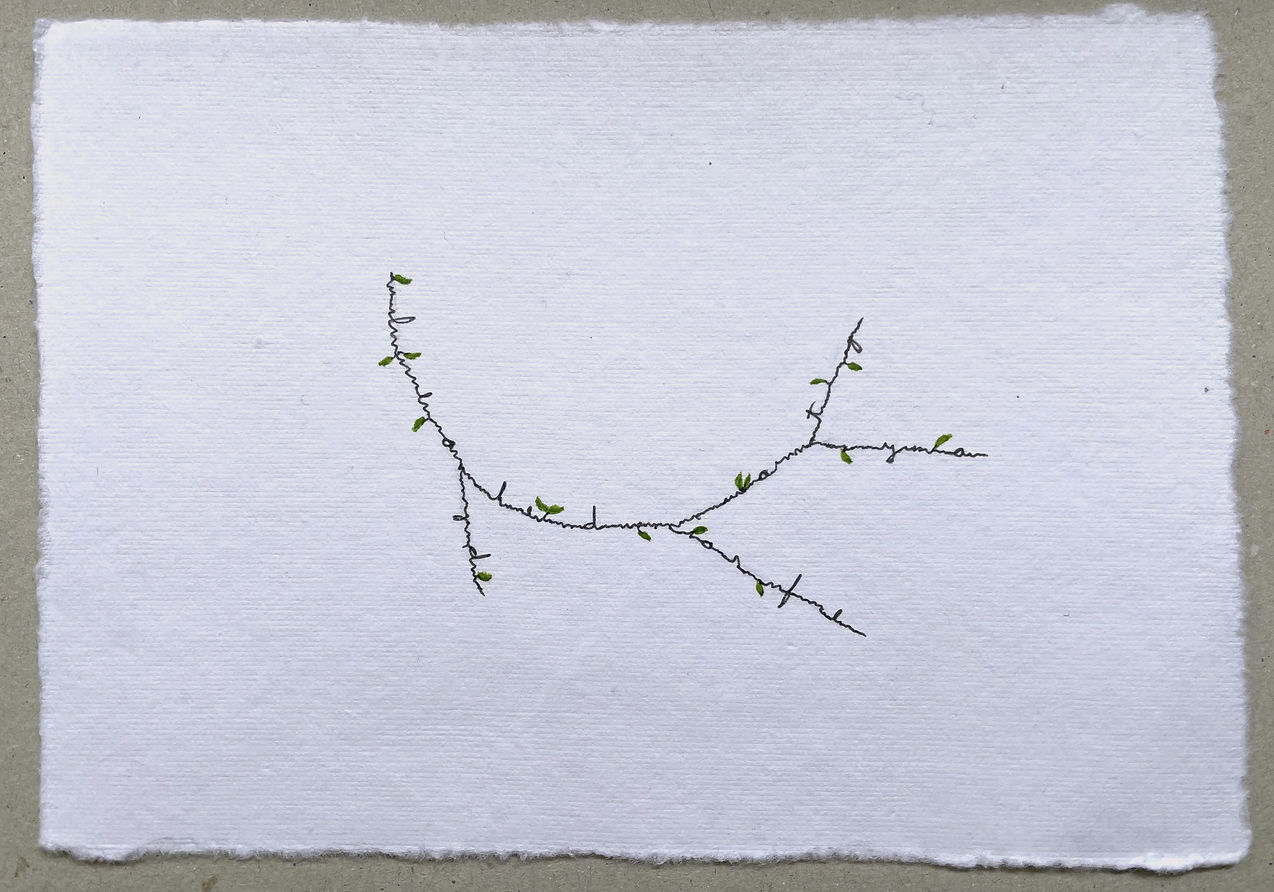 Photosyntaxis 6