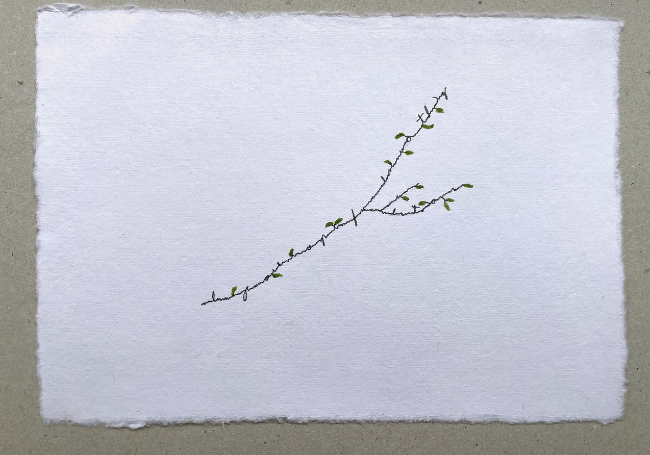 Photosyntaxis 7